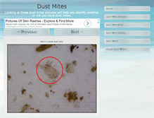 Tablet Screenshot of dustmitespictures.org